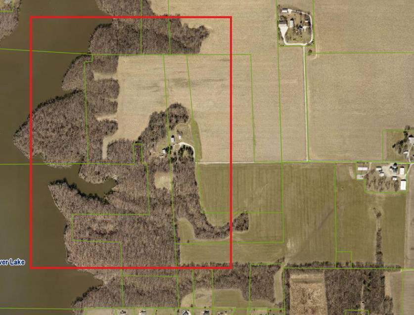 Prescribed burn - Copy